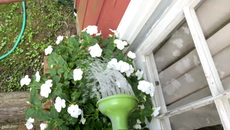 Wasser-Kann-Blumen-Im-Fensterpflanzer-Gießen