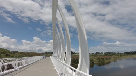 A-Man-walking-with-his-dog-on-Te-Rewa-Rewa-Bridge
