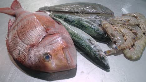 Collection-of-fresh-fish,-red-sea-bream,-mackerel,-prawns,-and-sole-flatfish