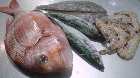 Seafood-assortment-on-a-metal-table,-Sea-bream,-Mackerel,-Shrimp,-and-Flatfish