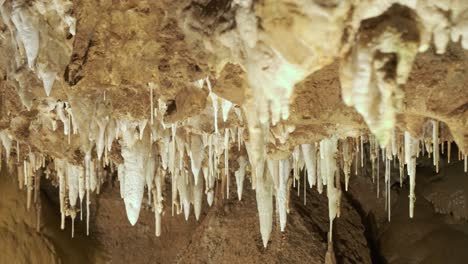 Beautiful-sliding-shot-of-white-stalactites-on-the-ceiling-of-the-cave-of-Saint-Cezaire