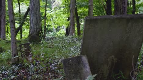 Alter-Verlassener-Friedhof-Im-Wald