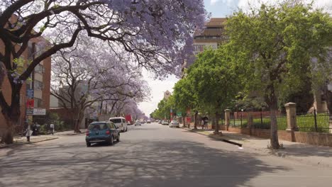 Driving-the-Jacaranda-lined-streets-of-Pretoria-past-malls,-construction-and-hotels,-POV-shot