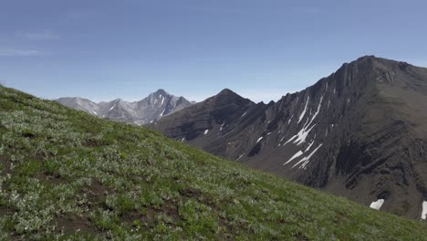 Mountain-range-pan-from-meadow-sunny-day,-Rockies,-Kananaskis,-Alberta-Canada