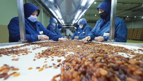 Shot-of-the-hands-of-workers-cleaning-the-grapes-on-the-sorting-table