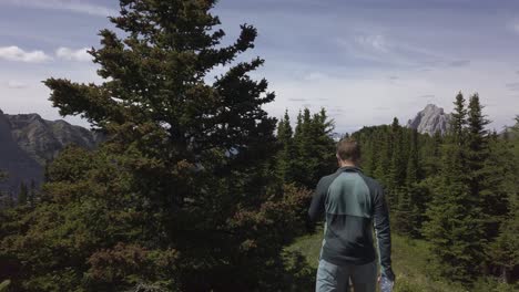 Hiker-walking-through-pine-trees-on-mountain-range-descending-Rockies-Kananaskis-Alberta-Canada