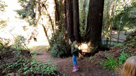 Two-little-girls-enjoy-free-time-in-forestry-area-with-coastal-redwood-tree