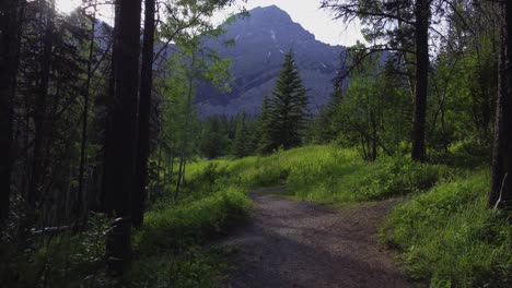 Park-trail-with-mountain-sun-flare-Rockies-Kananaskis-Alberta-Canada