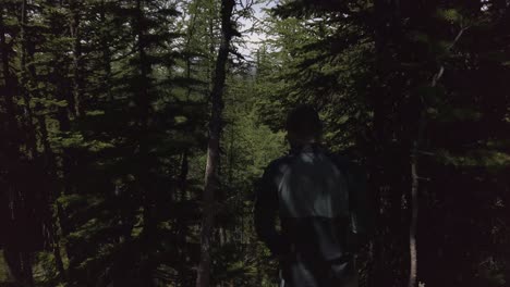 Hiker-descending-trough-pine-trees-close-up-Rockies-Kananaskis-Alberta-Canada