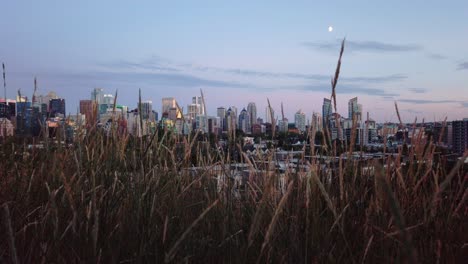Skyline-with-grass-with-moon-in-evening-Calgary-Alberta-Canada