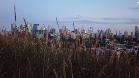 Skyline-Mit-Gras-Mit-Mond-In-Der-Abendpfanne,-Die-Calgary,-Alberta,-Kanada-Umkreist
