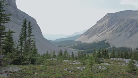Mountain-pond-valley-forest-revealed-pan-crab-Rockies-Kananaskis-Alberta-Canada