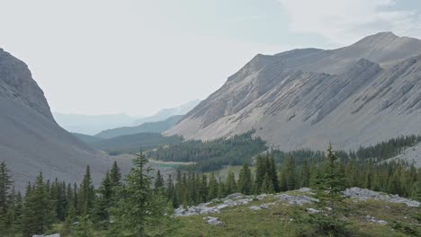 El-Bosque-Del-Valle-Del-Estanque-De-Montaña-Se-Acercó-A-Las-Rocas-Rocosas-De-Kananaskis,-Alberta,-Canadá