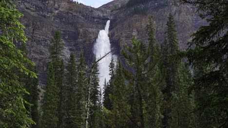 Waterfall-in-slow-motion-with-pine-cedar-trees-in-the-foreground-in-a-black-coloured-rocky-mountain-countryside-landscape