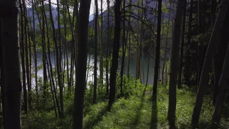 Pond-in-forest-tilt-people-in-distance-sun-flare-approached-Rockies-Kananaskis-Alberta-Canada