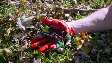 Bloody-hand-with-textile-tourniquet-falls-on-grass-with-Autumn-leaves,-Crime-concept