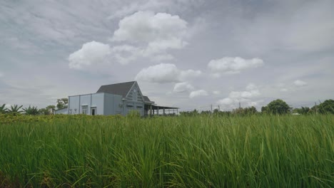 A-house-near-rice-fields-with-a-cloudy-sky