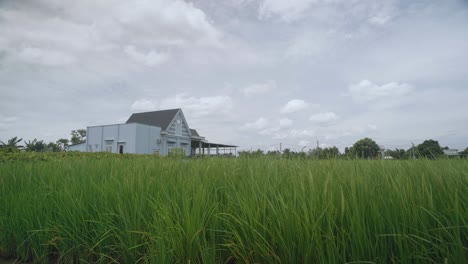 Ein-Haus-In-Der-Nähe-Von-Reisfeldern-Mit-Bewölktem-Himmel