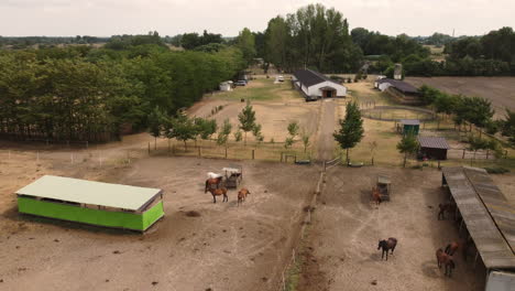 Equestrian-Park,-Horses,-Field,-Drone-Shot