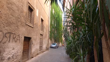 Alley-with-vertical-garden-houses-in-Rome,-Italy