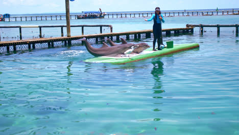 Toma-General-De-Un-Entrenador-De-Delfines-Entreteniendo-A-Los-Turistas-En-Un-Espectáculo-De-Delfines-En-Un-Oceanario-En-Cartagena-Colombia