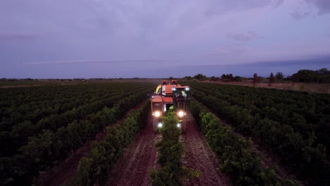 Aerial:-farm-machine-harvesting-grapes-in-southern-France