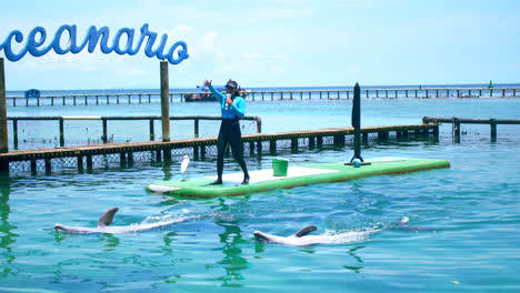 Allgemeine-Aufnahme-Eines-Delfintrainers,-Der-Touristen-In-Einer-Delfinshow-In-Einem-Ozeanarium-In-Cartagena,-Kolumbien,-Unterhält
