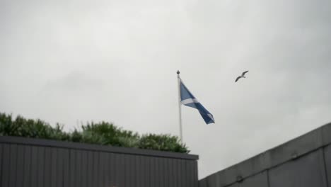 Una-Bandera-Escocesa-Ondeando-En-El-Viento