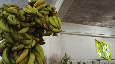 Plátanos-Colgando-Del-Techo