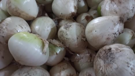 White-onions-piled-on-each-other