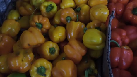 Yellow-and-red-bell-peppers-in-a-vegetable-store