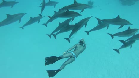 Snorkeling-with-a-pod-of-dolphins-in-the-Red-Sea-along-the-shores-of-Egypt