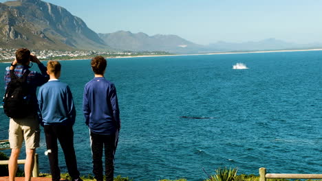 Dad-and-sons-whale-watching-from-scenic-Hermanus-cliffs,-whale-breaches