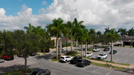 4K-Drone-Video-of-Palm-Trees-at-The-Mall-at-University-Town-Center-in-Sarasota-County,-Florida