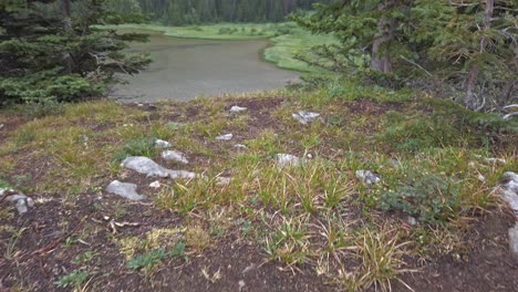 Mountain-pond-forest-valley-reveal-Rockies-Kananaskis-Alberta-Canada