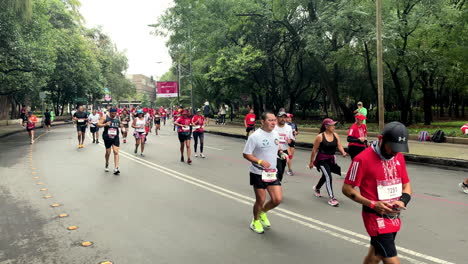 Zeitlupenaufnahme-Eines-Teams-Von-Läufern-Während-Des-Marathons-In-Mexiko-Stadt-2022,-Der-Den-Bosque-De-Chapultepec-überquert