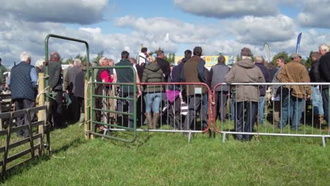 Bauern-Versammelten-Sich-Um-Den-Auktionsring,-Als-Schafe-Verkauft-Wurden---Wombleton-In-North-Yorkshire