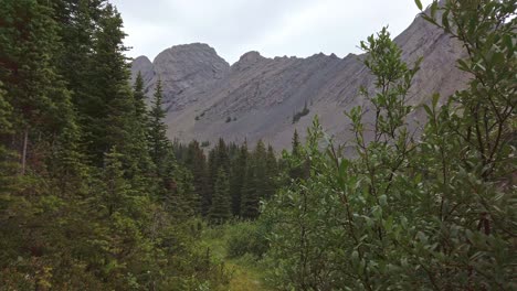 Trail-in-mountain-forest-raining-Rockies-Kananaskis-Alberta-Canada