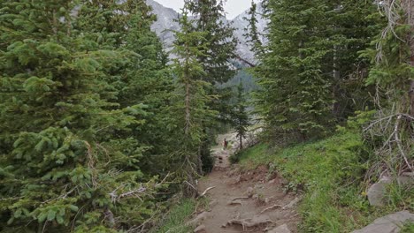 Hikers-on-trail-in-the-Mountain-forest-Rockies-Kananaskis-Alberta-Canada