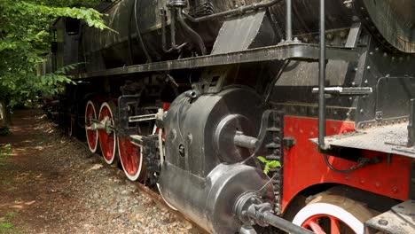 Details-of-vintage-steam-train-with-black-metal-body-and-red-and-white-wheels-standing-on-track-surrounded-by-lush-vegetation