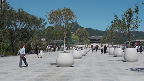 Beautiful-renovated-Gwanghwamun-Plaza-park-with-planted-decorative-trees-and-people-strolling-around-in-downtown-Seoul,-Korea