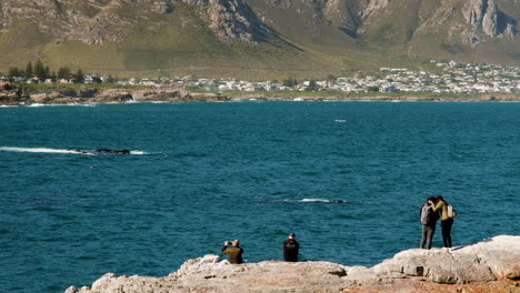 Honeymoon-couple-kissing-on-rocks,-celebrating-the-wonderful-whale-watching-experience-in-picturesque-Hermanus