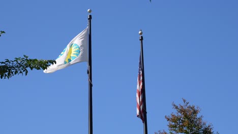 Smithsonian-Institution-Flag-Und-Amerikanische-Flagge-In-Washington-Dc