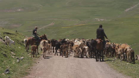 Zwei-Georgische-Kuhhirten-Auf-Pferden,-Die-Ihr-Vieh-Auf-Einer-Landstraße-Hüten