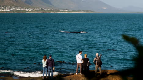 People-doing-land-based-whale-watching-in-Hermanus,-South-Africa