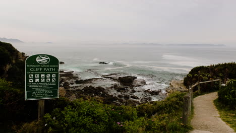 Hermanus-cliff-path-overlooking-Walker-Bay-with-whales-near-coastline