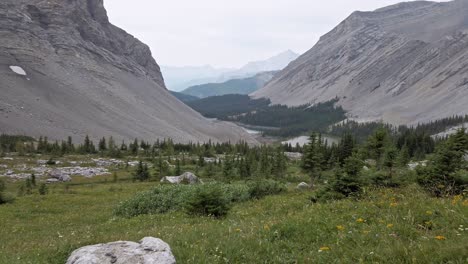 Mountain-valley-pond-forest-bugs-pan-Rockies-Kananaskis-Alberta-Canada
