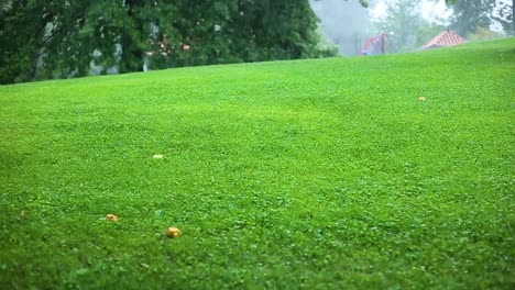 Grünes-Gras-Im-Regen-An-Einem-Sommer--Oder-Frühlingstag
