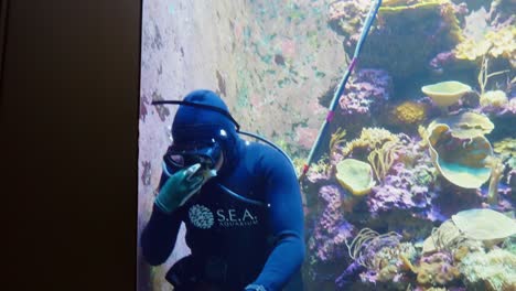 S.E.A-Aquarium-diver-in-Singapore-performing-glass-maintenance
