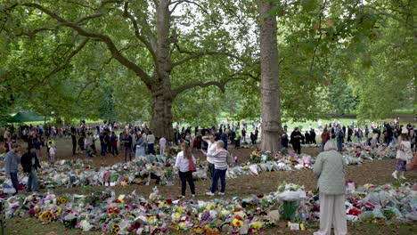 Crowd-mourning-over-death-of-queen-Elizabeth-II-in-green-park